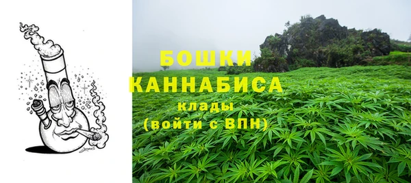 прущие грибы Протвино