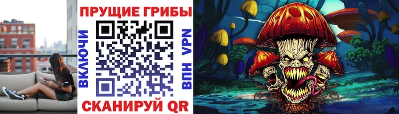Галлюциногенные грибы прущие грибы Нерюнгри
